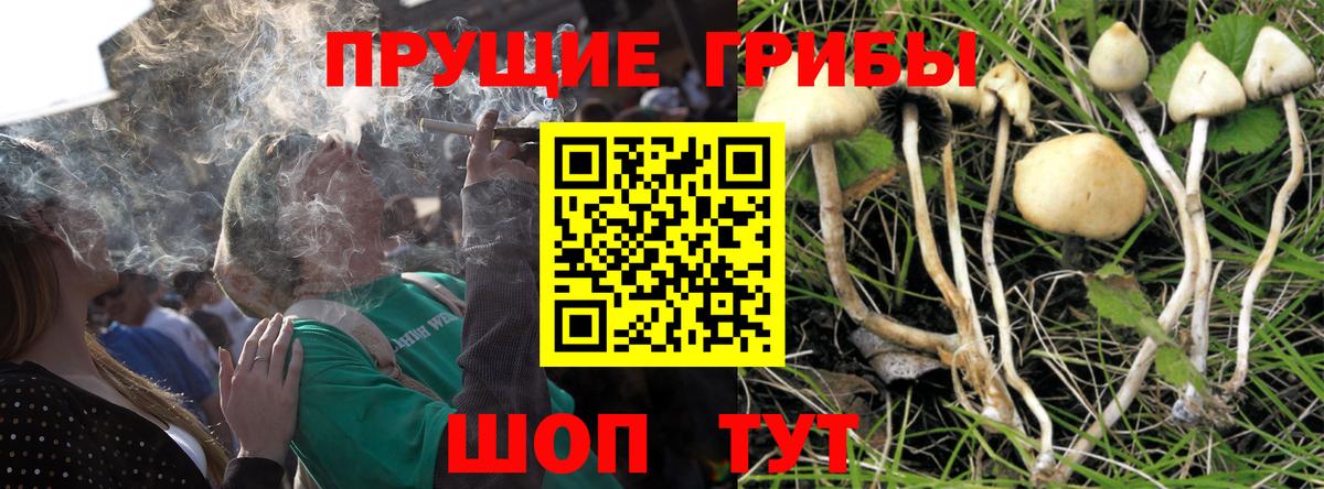 Галлюциногенные грибы GOLDEN TEACHER  Вход с VPN  Псилоцибиновые грибы мицелий  Дюртюли 