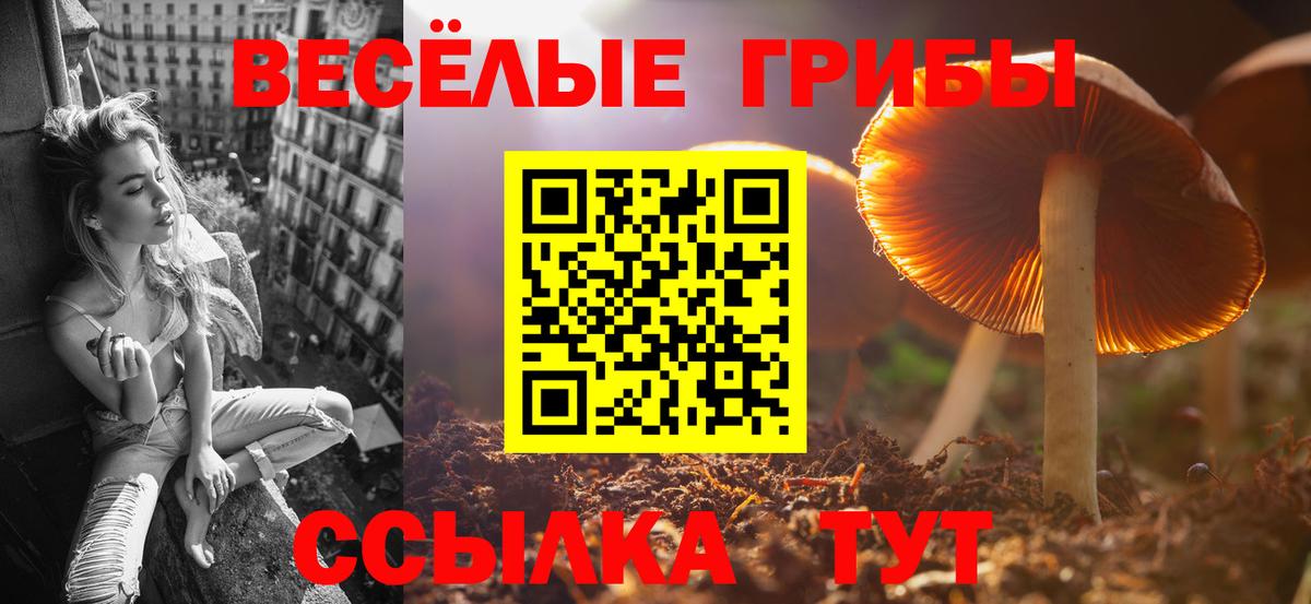 Галлюциногенные грибы прущие грибы Дюртюли